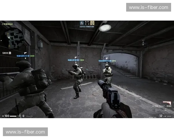 深度解析为什么玩家在玩csgo时游戏读条加载速度异常缓慢